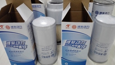 OEM weichai